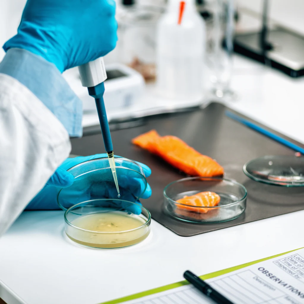Food safety consulting